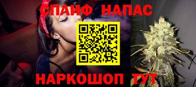 гашик Кунгур